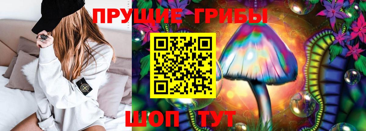 Галлюциногенные грибы GOLDEN TEACHER  Вход с VPN  Псилоцибиновые грибы MAGIC MUSHROOMS  Осинники 