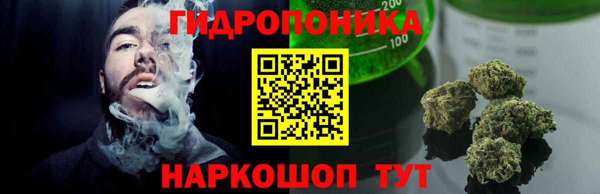 Осинники  Конопля гибрид  Канабис Amnesia  Марихуана White Widow  Вход с VPN  Каннабис Bruce Banner 